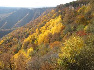 Разноцветные горы
Адыгея, октябрь

Автор: Екатерина Зайцева. Голосов: 1.
Номинация: «За тридевять земель»